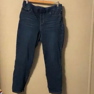 Nine West Dark Blue Ankle Pants